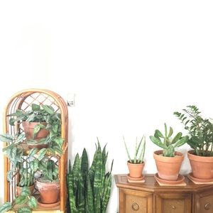 Meet your Posher, Devin